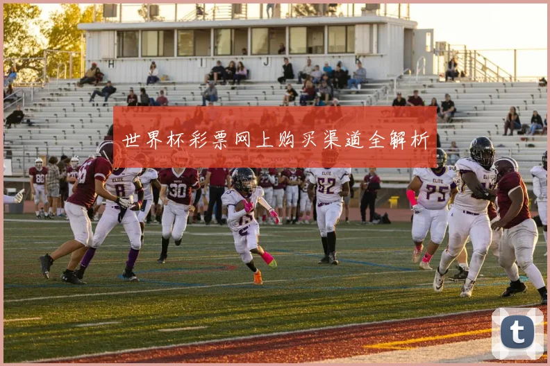 世界杯彩票网上购买渠道全解析